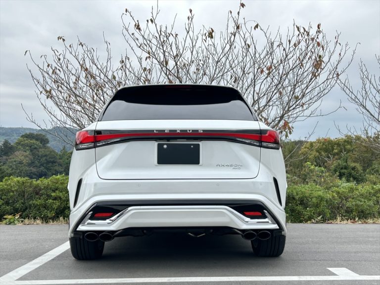 Carbon Oval Tail